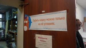20.10.2025г. наши волонтёры в приюте «Муркоша»
